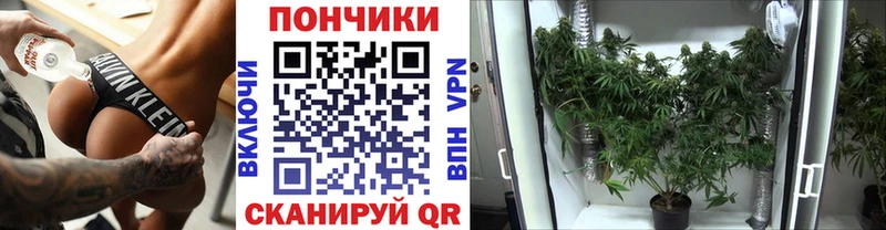 Наркошоп купить ГАШИШ  МАРИХУАНА  АМФЕТАМИН  НБОМе  МЕФ  Ершов