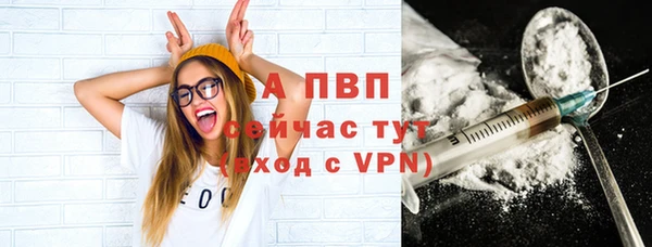 прущие грибы Бородино