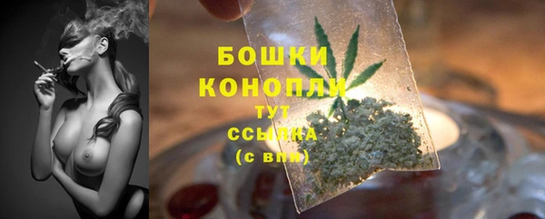 прущие грибы Бородино