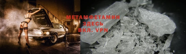 прущие грибы Бородино
