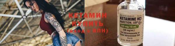 прущие грибы Бородино