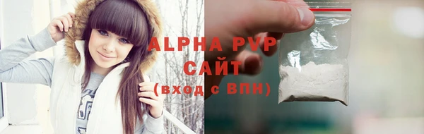 прущие грибы Бородино