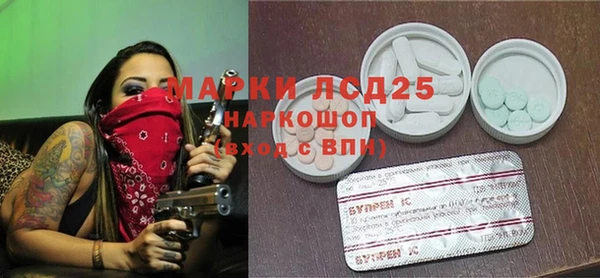 прущие грибы Бородино