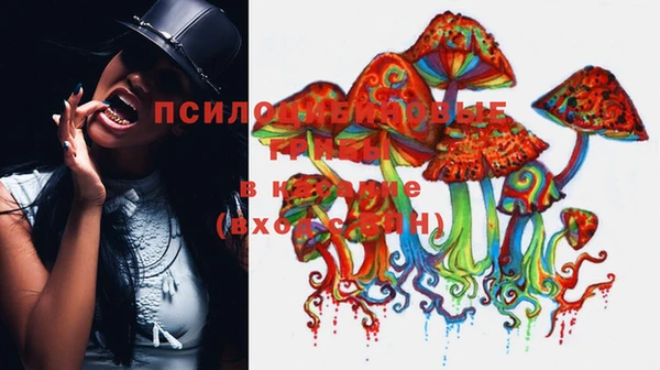 соль ск Бугульма
