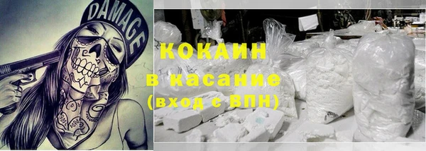 гидра Богородицк