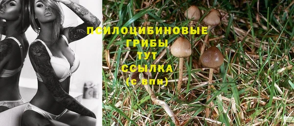 не бодяженный Бронницы
