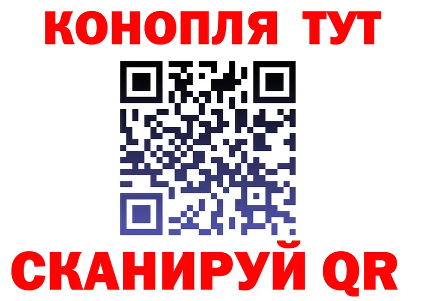 АМФ 98% tor это гидра Ершов
