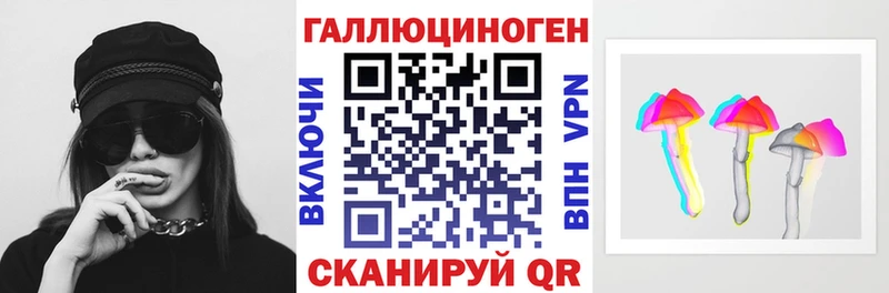 Купить  Ершов  Галлюциногенные грибы Cubensis 